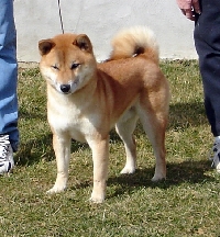 Ichirou DSC00553_0.jpg